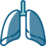 bindu-qigong-pulmones